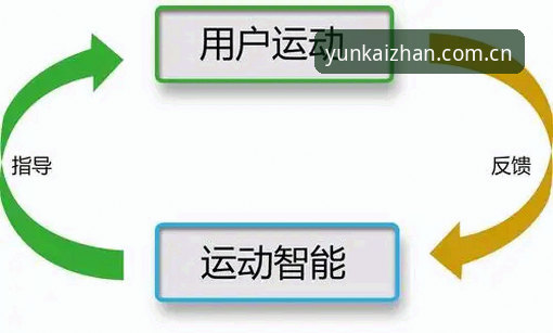 云开数字体育 云开全站登录到底怎么操作?数字体育新手必看的实战指南
